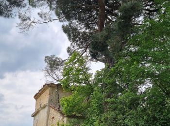 Tocht Stappen Pont-du-Casse - la candelie test 02 05 23 - Photo