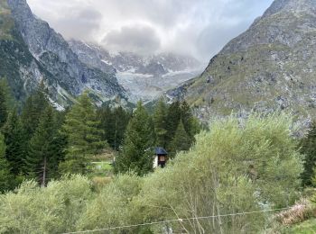 Trail Walking Orsières - La Fouly Ferret  - Photo