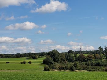 Randonnée Marche Léglise - rando louftemont 14-09-2023 - Photo