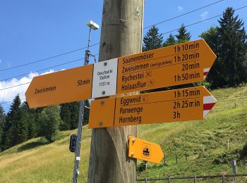 Trail On foot Zweisimmen - Eggweid Mittelstation - Oeschseite - Photo