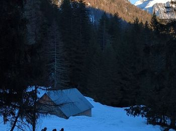 Percorso Racchette da neve San Martino Lantosca - Lac Negre raquettes  - Photo
