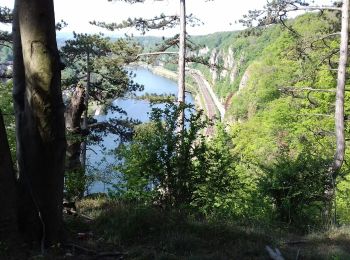 Trail Walking Namur - Boninne - boucle  - Photo