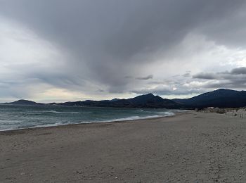 Excursión Senderismo Argelès-sur-Mer - mas larrieu - argeles / l hiver - Photo