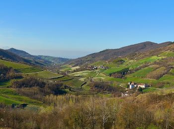 Randonnée A pied Montesegale - Anello Fornace Nord - Photo