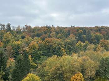 Randonnée Marche Léglise - Les Forges de Mellier - Photo