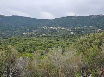 Trail Walking Calcatoggio - La Liscia (petite boucle) - Photo