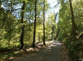 Trail On foot Unknown - Kellershammer/Tyrol Rundweg A6 - Photo