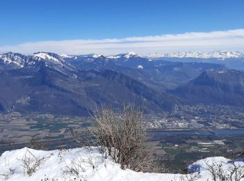 Tour Wandern Autrans-Méaudre en Vercors - boucle la Buffe - la Sure - Photo