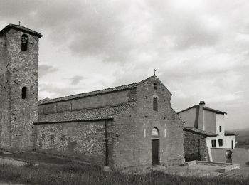 Tour Zu Fuß Figline e Incisa Valdarno - IT-27A - Photo