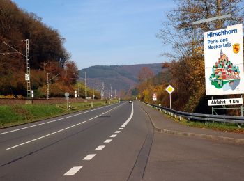 Randonnée A pied Neckarsteinach - Rundwanderweg Neckarhausen 1: Michelbuch-Weg - Photo