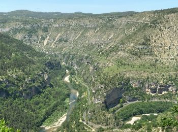 Percorso Camminata nordica Gorges du Tarn Causses - Sainte-Enimie - L'ermitage - Photo