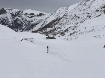 Tocht Sneeuwschoenen Entraunes - Le col de la petite Cayolle  - Photo