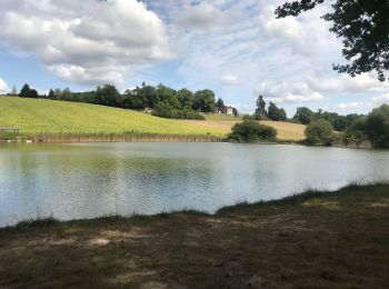 Percorso Marcia Cornille - Boucle de l étang Cornille par Pognac et Lafayardie  - Photo