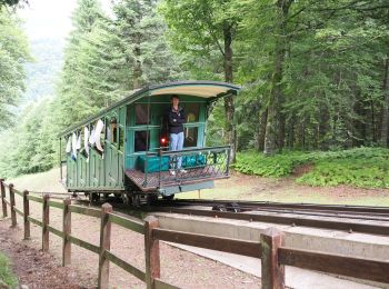 Trail Walking Mont-Dore - Mont-Dore et vallée de Chaudefour - Photo