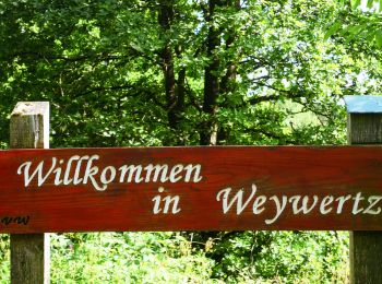 Trail Walking Bütgenbach - 4950 Weywertz -Robertville - Weywertz 16 Km 30-07-2022 - Photo