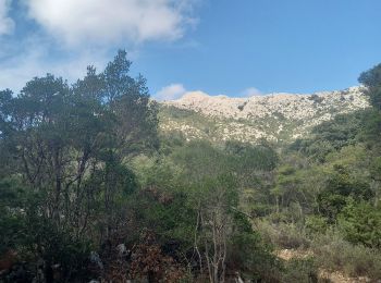 Tour Wandern Lùvula/Lula - Punta Catirina 1127m 5.10.23 - Photo