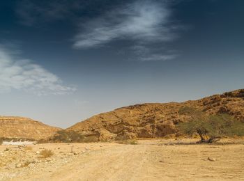 Percorso A piedi מועצה אזורית רמת נגב - IL-17270 - Photo