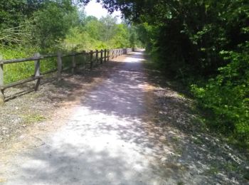 Tour Wandern Auxi-le-Château - auxi - Photo