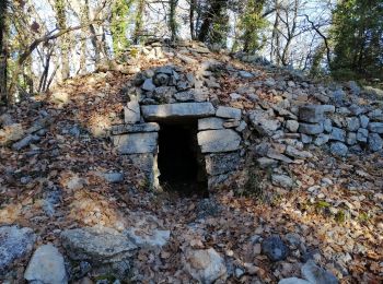 Trail Walking Seillans - Bories de Seillans,  la Camandre, vallon des combes longues  - Photo