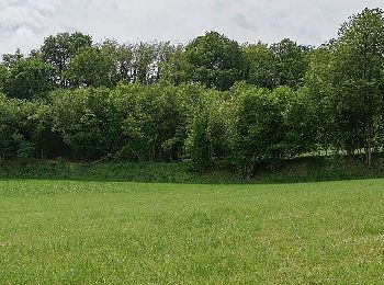 Tour Zu Fuß Bensheim - Rundwanderweg Bensheim Bordmühle 3: Alpengassen-Weg - Photo