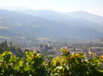 Tocht Te voet Brixen - Bressanone - Pinazweg - Photo