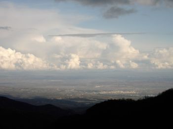 Tocht Te voet  - Παλιοχώρι - Γκόλα Τσούκα - Photo