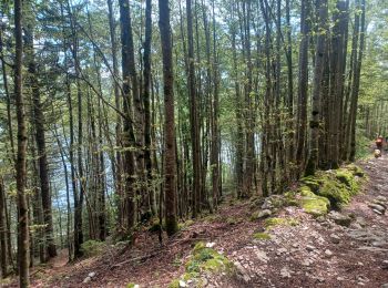 Tocht Stappen Les Rousses - Lac 