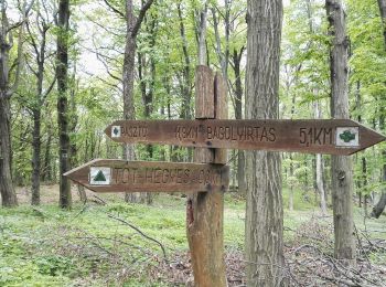 Excursión A pie Gyöngyöspata - S+ (Tóthegyes-János-vára) - Photo