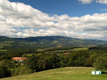 Tocht Te voet Pöllau - Wanderweg 14 - Photo