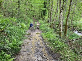 Trail Walking Camboulazet - Le ruisseau en botte - Photo