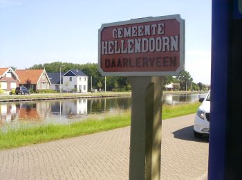 Excursión A pie Twenterand - WNW Twente - Linderflier/Daarlerveen - gele route - Photo