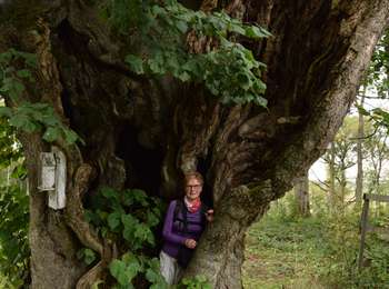 Percorso Marcia Mettet - RB-Na-23 - Biesmerée - Via raccourci - 2025-08-07 - Photo