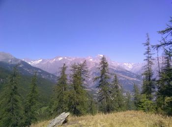 Percorso Mountainbike Les Vigneaux - camping le couroumba la Pousterle - Photo