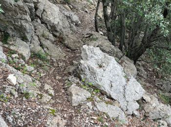 Tocht sport Saint-Cézaire-sur-Siagne - ST CEZAIRE  - Photo