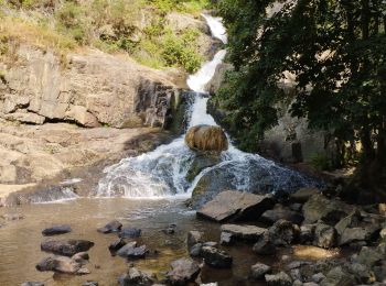 Tour Wandern Romagny Fontenay - Mortain juin 2023 - Photo