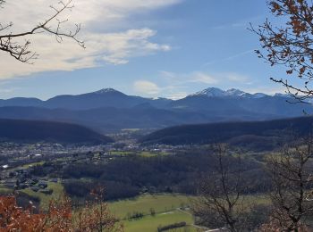 Excursión Senderismo Lavelanet - BOUCLE Lavelanet Laroque le Coulassou Cazenave Ste Rufine retour - Photo