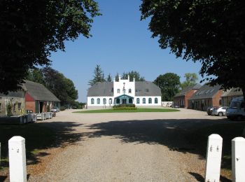 Tocht Te voet Steinbergkirche - Habernisser Moor: Rundweg 7 - Photo