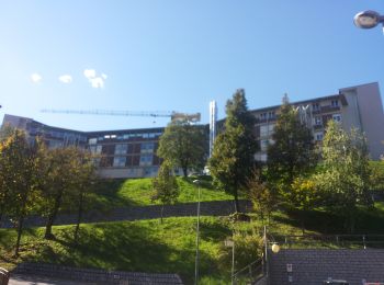 Percorso A piedi Tione di Trento - Sentiero dei siori - Photo