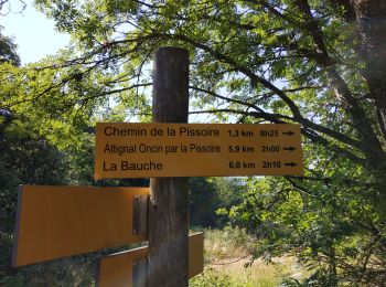 Trail Walking Attignat-Oncin - mont grêle par attignat - Photo