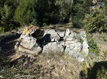 Tour Wandern La Roquebrussanne - La Roquebrussanne dec 2023 - Photo