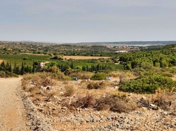 Trail Walking Fitou - fitou peage - Photo