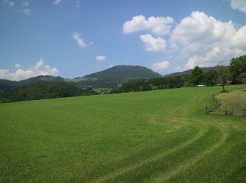 Tour Zu Fuß Peggau - Wanderweg 11 - Photo