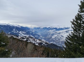 Trail Snowshoes Bourg-Saint-Maurice - Les Arcs Chantel vers l'Altiport en boucle  - Photo