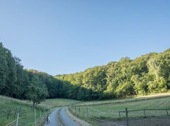 Trail On foot Litzendorf - Rund um den Ellerberg - Photo