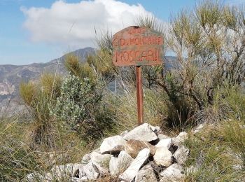 Tocht Te voet Almuñécar - OTIVAR castillo Moscaril tour 2 - Photo