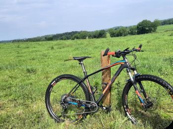 Tocht Mountainbike Baud - Autour de Baud - Photo