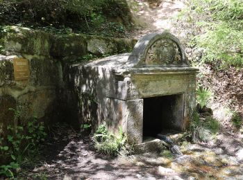 Excursión A pie Lichtenfels - Seehofer Rundweg - Photo