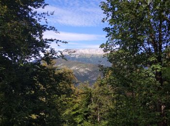 Trail Walking Annecy - Belvédère mont Baron - Photo