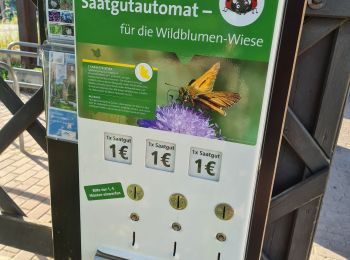 Tocht Stappen Lautenbach - Lautenbacher Hexenweg - Photo