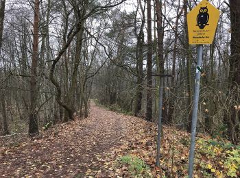 Tour Zu Fuß Königs Wusterhausen - Wanderlehrpfad um den Wernsdorfer See - Photo